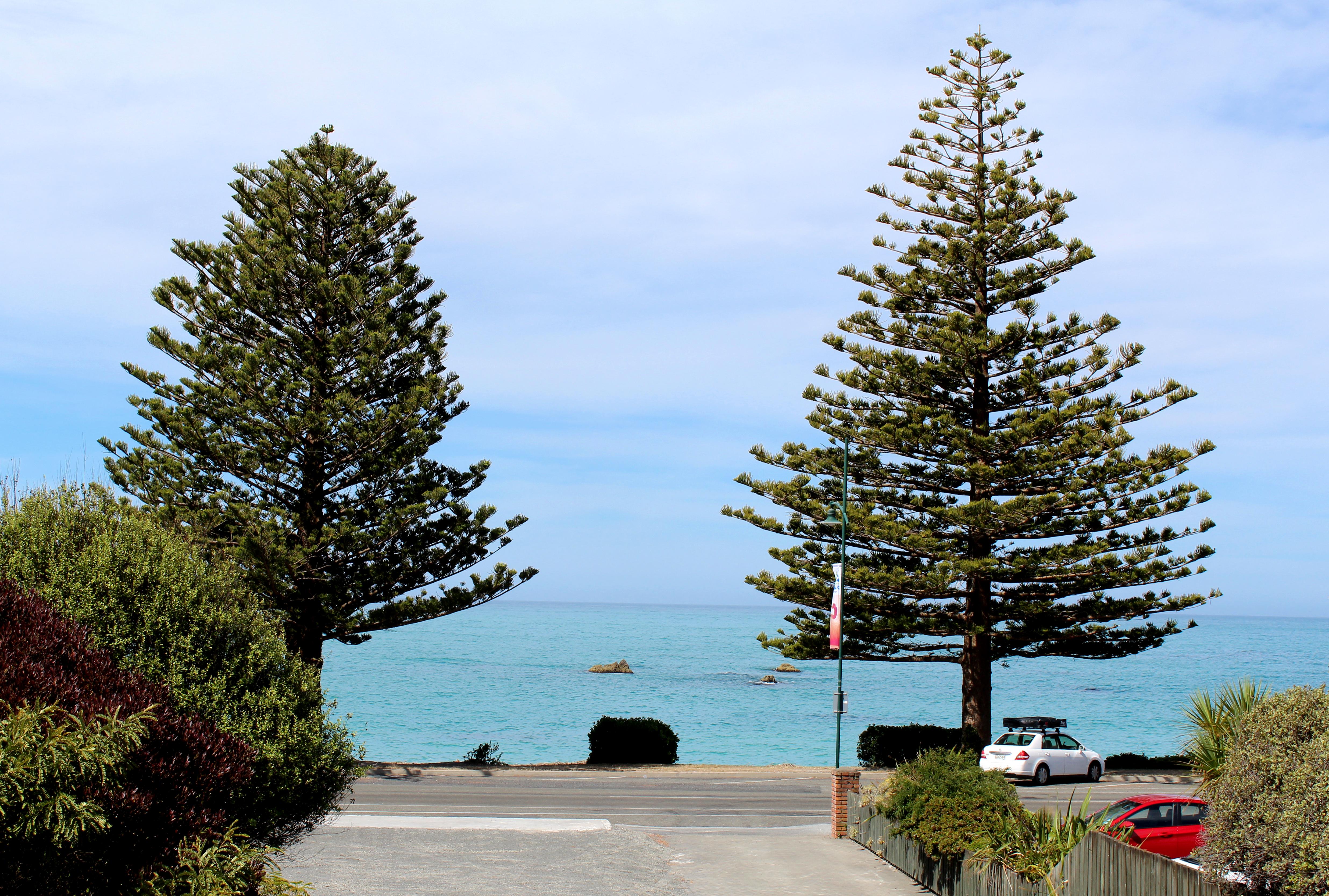 The White Morph - Heritage Collection Kaikoura Exterior foto